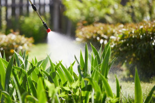 Tamper-Resistant Bait Stations for Rodents in Winter Park
