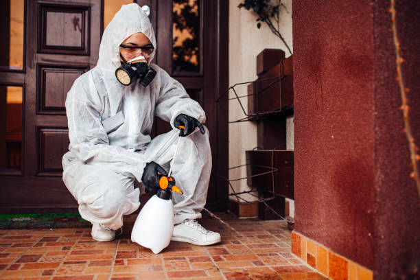 Attic and Crawl Space Rodent Treatment in Winter Park